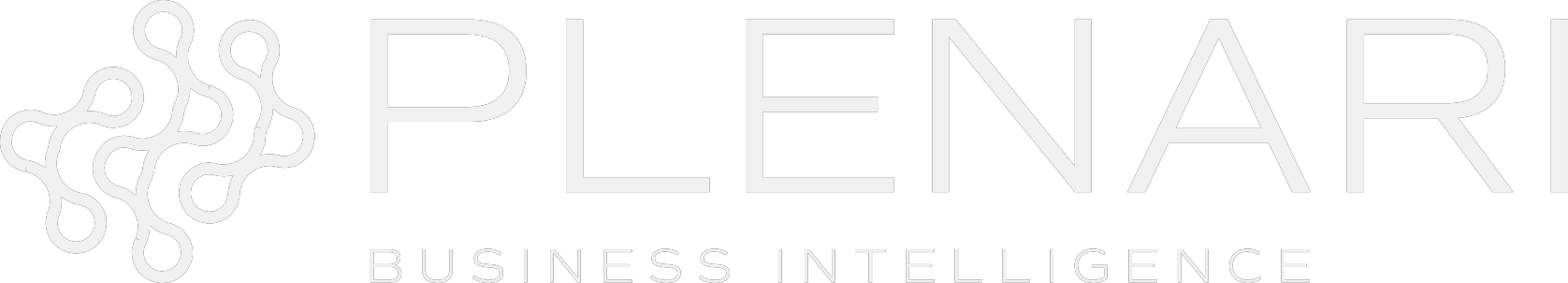 Plenari Business Intelligence